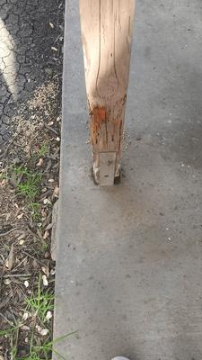 Realtors Choice Inspections