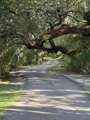 Waterfront Park