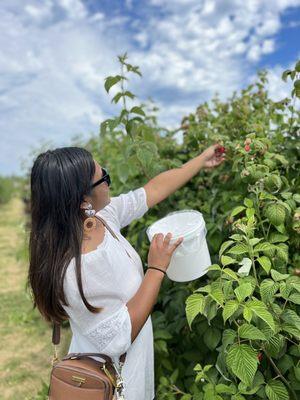 Graysmarsh Berry Farm