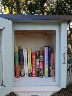 Village Little Free Library