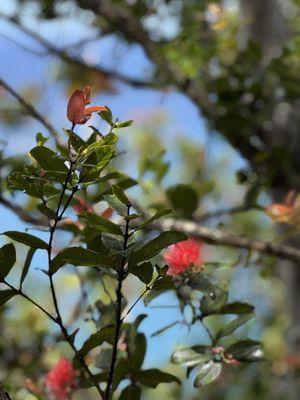 Na Pali Coast State Park