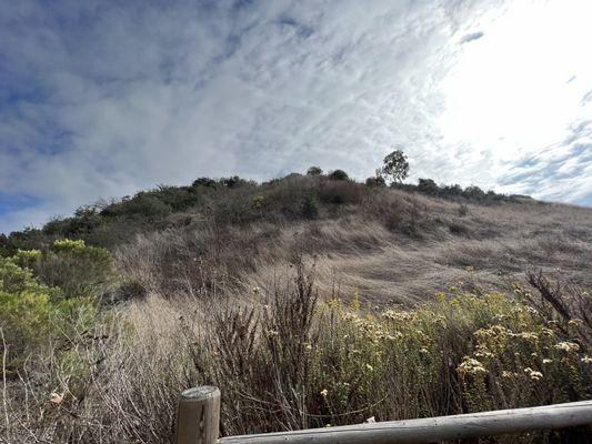 Rose Canyon Open Space Park