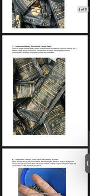 AAA Cooper Transportation