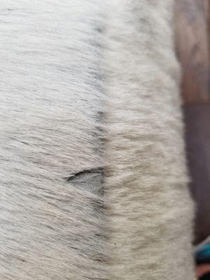 COIT Cleaning & Restoration