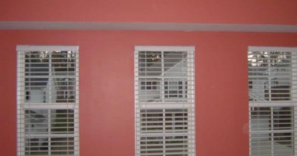 Painting & Wildlife Removal