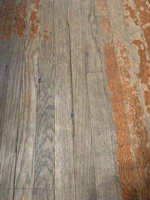 Monteros Hardwood Flooring