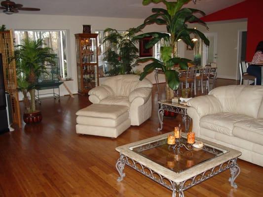 Bamboo at the Bowmans