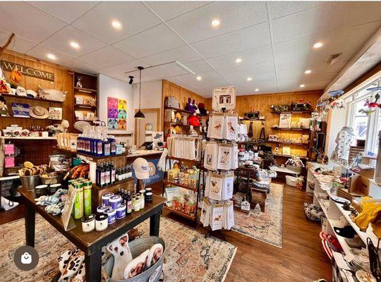 The cutest pet boutique in Stone Harbor NJ