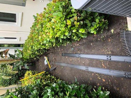 Coastal Best Landscaping