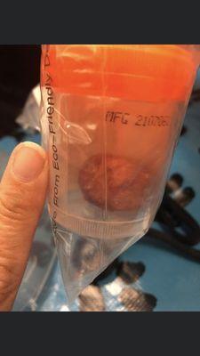 Cary Grove Animal Hospital