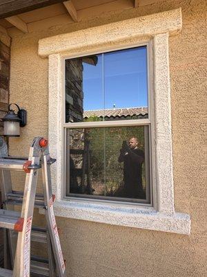 Shade Solutions Tint