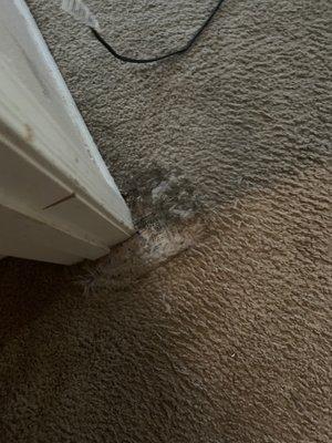 Fiber Care Carpet Cleaning