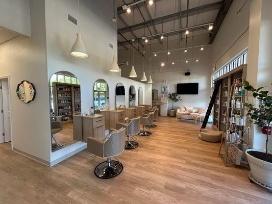 Sun-Kissed Lemon Society