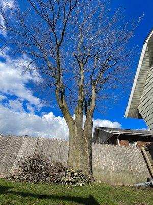 Oxy Sense Landscaping