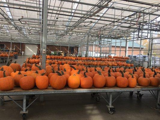 Niagara County Produce