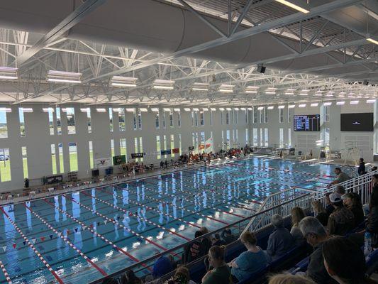 Florida Aquatics Swimming & Training