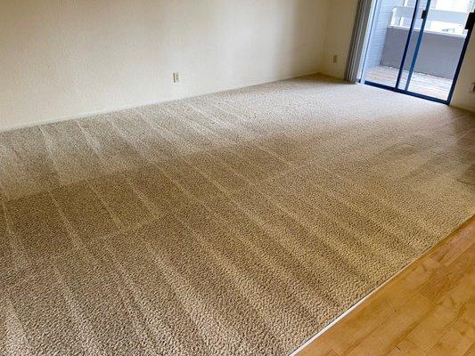 Mistah Clean’s Carpet Cleaning