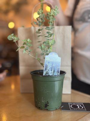 Off Broadway Floral Events