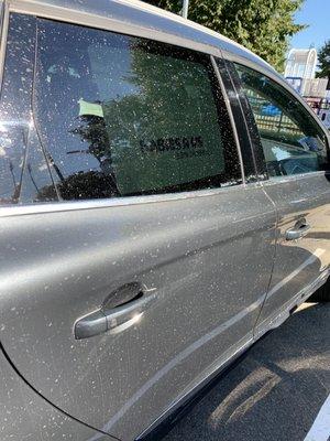 Hard to really capture but the car is simply COVERED in water spots.