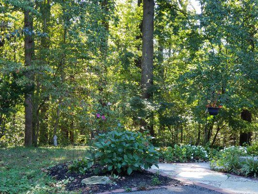 Eden Healing Arts and Massage