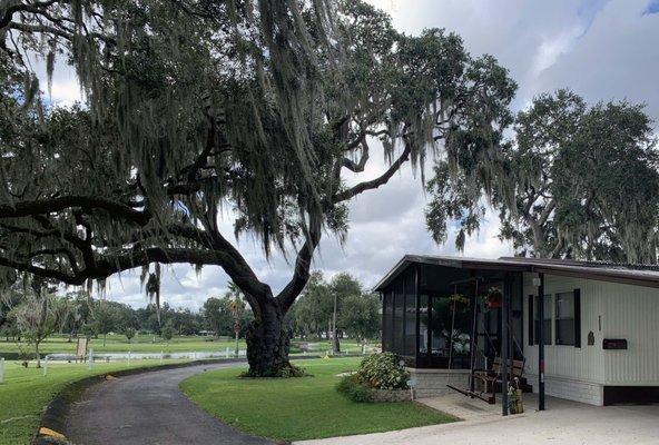 Winters Mobile Home Park