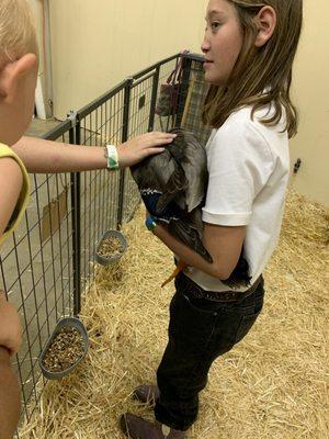 Siskiyou Golden Fair