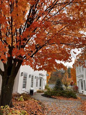 Cozy location and shop