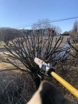 H&H Tree Service