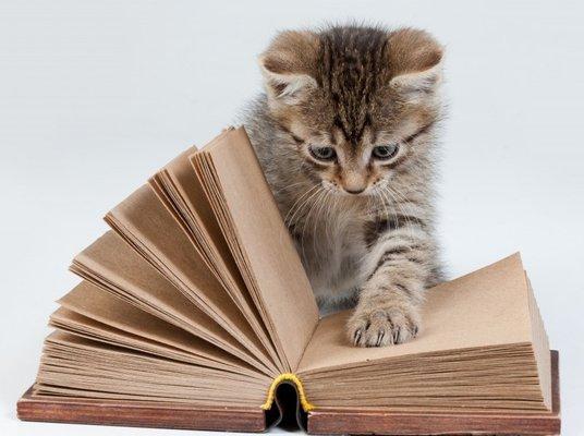 Your Bindery Finishing