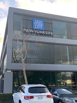 New York Life Insurance