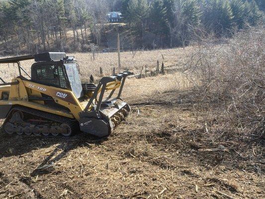 Moore-Bridger Tree Service