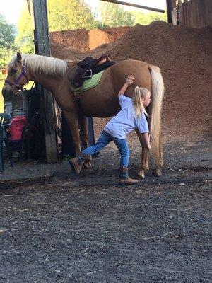 Longacre Stables & School of Horsemanship