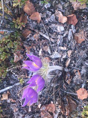 Eagle Trail State Recreation Area