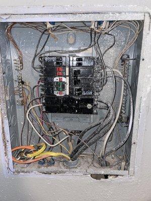 Ark of Assurance Inspections