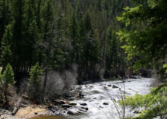 Welcome Creek Wilderness