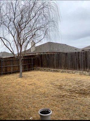 Mr. Delgado’s Tree Service