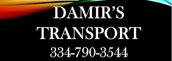 Damir's Transport