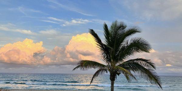 Laura Sinclair Homes