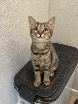 Clay County Animal Shelter