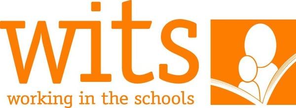 Working In The Schools