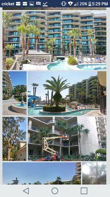 Fontenots Tree Service and Stump Grinding