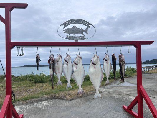 Yakutat Lodge