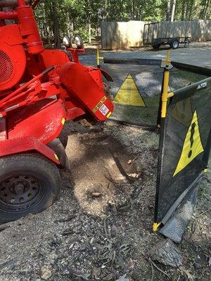 High Rock Stump Grinding