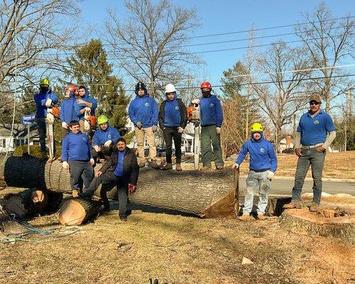 Ortega’s Tree Service