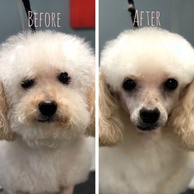 Dolly- Before and After