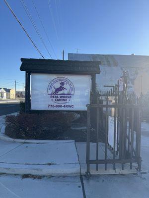 Real World Canine