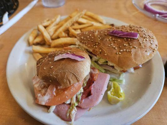 Italian Slim Jim with tiny pieces of onion, and dried out french fries.