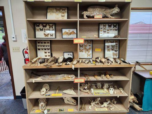 Rancho El Chorro Outdoor School