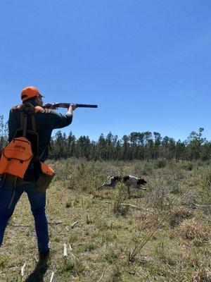 Upland bird hunting