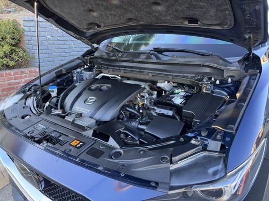 Honest Mobile Detailing